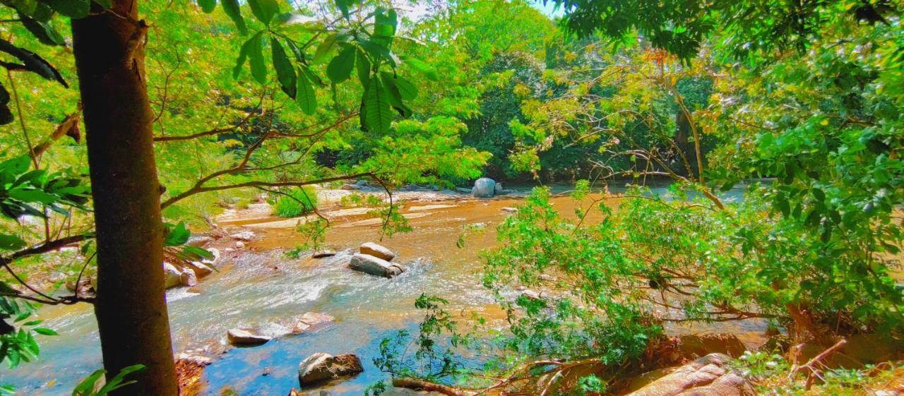 Casa Kumake Tayrona Villa *